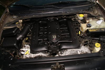 4479_335_2307_335_dsc01641